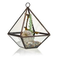 Szklane Terrarium - Mały Romb