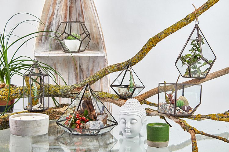 Szklane Terrarium - Sześcian