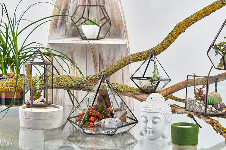 Szklane Terrarium - Mały Romb
