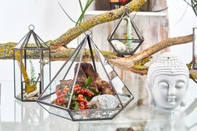 Szklane Terrarium - Duży Romb