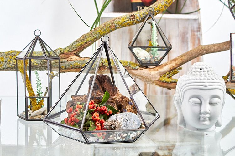 Szklane Terrarium - Duży Romb