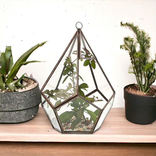 Szklane Terrarium - Duży Pięciobok