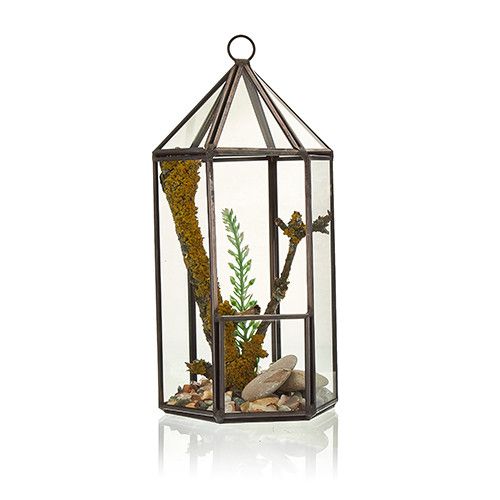 Szklane Terrarium - Latarnia