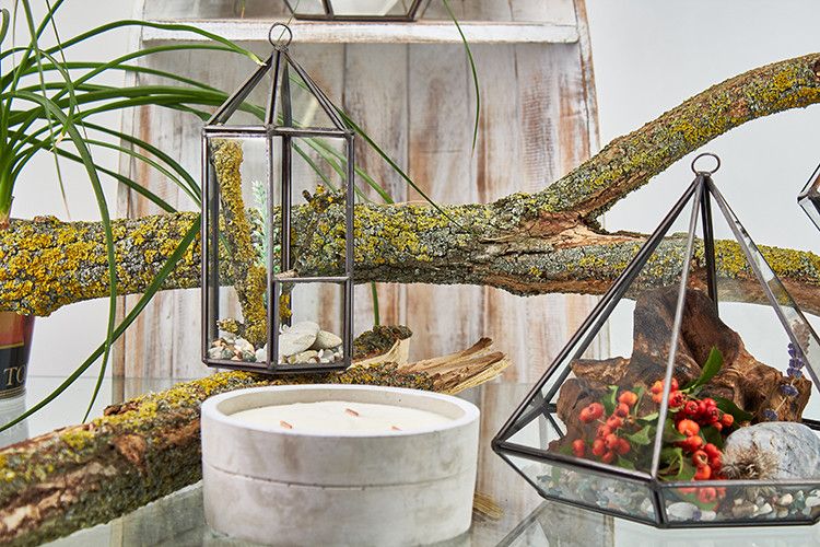 Szklane Terrarium - Duży Ośmiobok