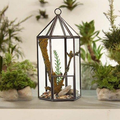Szklane Terrarium - Latarnia