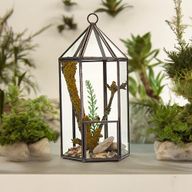 Szklane Terrarium - Latarnia