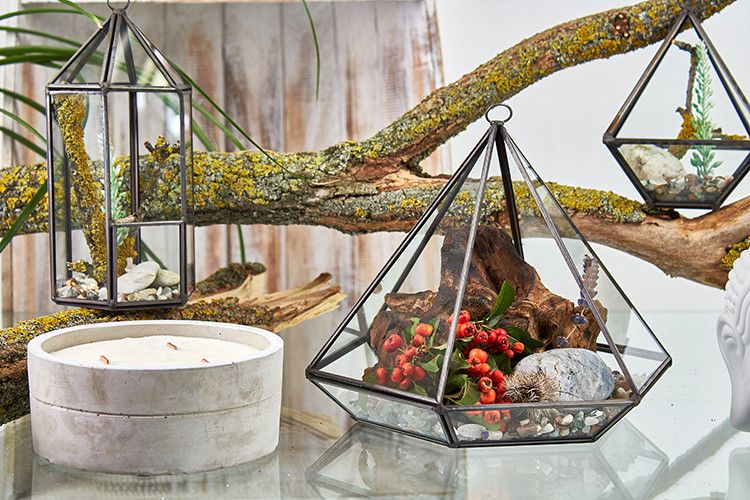 Szklane Terrarium - Duży Romb