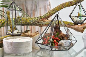 Szklane Terrarium - Duży Romb