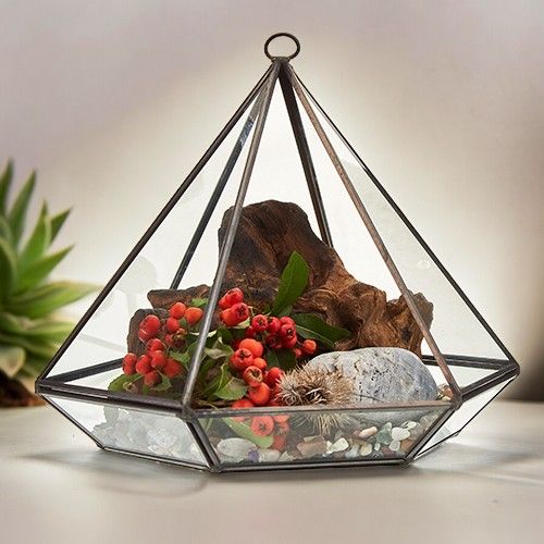 Szklane Terrarium - Duży Romb