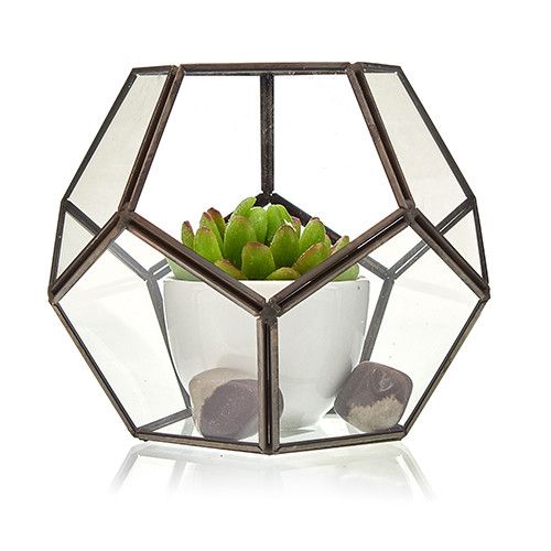Szklane Terrarium - Duży Ośmiobok