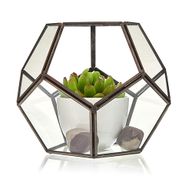 Szklane Terrarium - Duży Ośmiobok