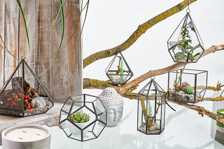 Szklane Terrarium - Sześcian