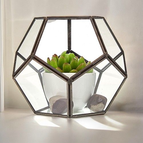 Szklane Terrarium - Duży Ośmiobok
