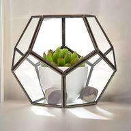 Szklane Terrarium - Duży Ośmiobok