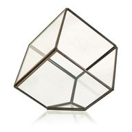 Szklane Terrarium - Sześcian