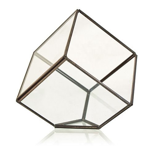 Szklane Terrarium - Sześcian