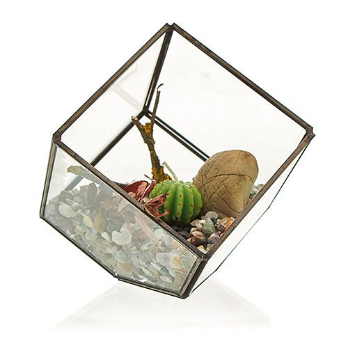 Szklane Terrarium - Sześcian