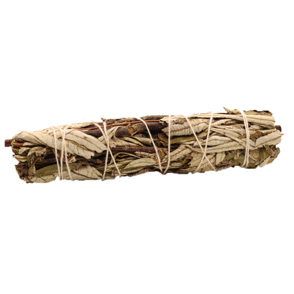 Naturalne Kadzidło w Pęczku - Czarna Szałwia 15 cm