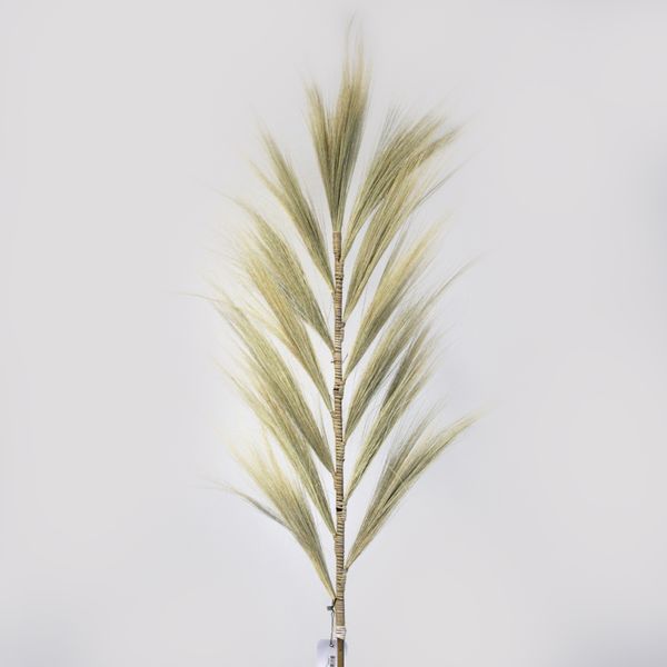 Trawa Rayung - Blond - 1.6 m