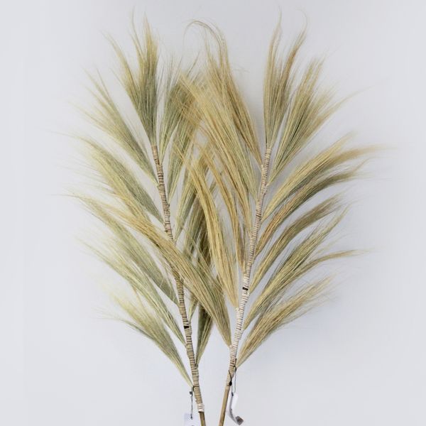 Trawa Rayung - Blond - 2 m