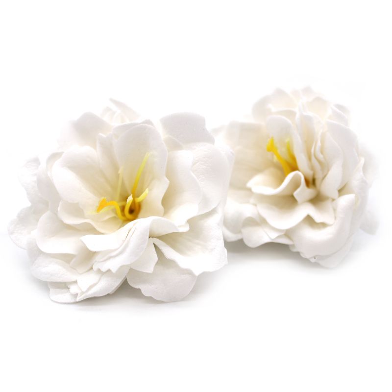 Mała Peonia Mydlana - Biała