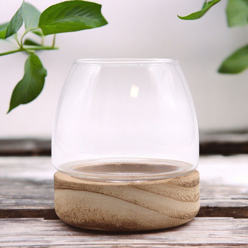 Mini Terrarium na Drewnie Tungowym - 10x10 cm