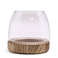Małe Terrarium na Drewnie Tungowym - 13x13 cm