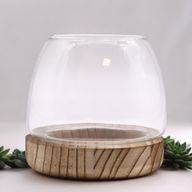 Małe Terrarium na Drewnie Tungowym - 13x13 cm