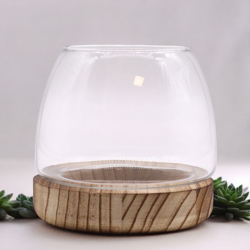 Małe Terrarium na Drewnie Tungowym - 13x13 cm