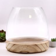 Średnie Terrarium na Drewnie Tungowym - 15x15 cm