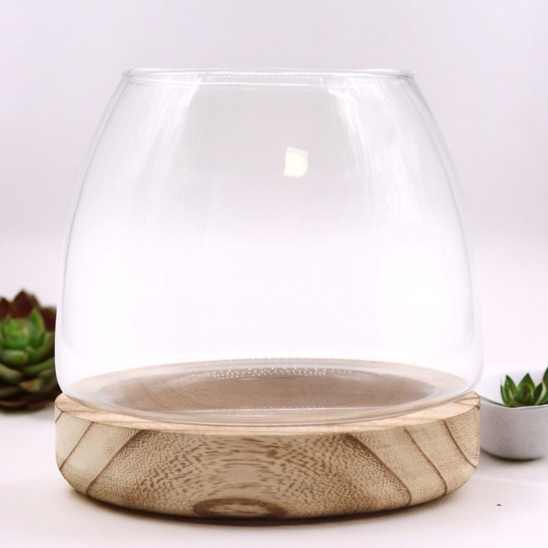 Średnie Terrarium na Drewnie Tungowym - 15x15 cm