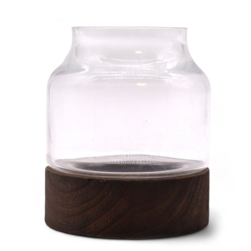 Małe Profilowane Terrarium na Ciemnym Drewnie Tungowym - 12x13 cm