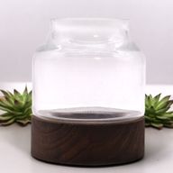 Małe Profilowane Terrarium na Ciemnym Drewnie Tungowym - 12x13 cm