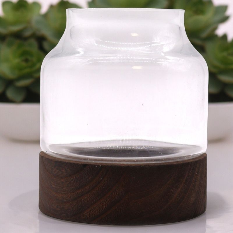 Średnie Profilowane Terrarium na Ciemnym Drewnie Tungowym - 16x18 cm