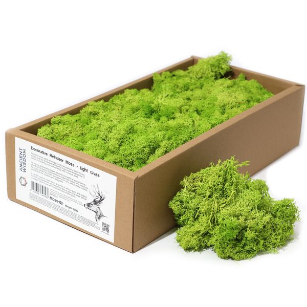 Stabilizowany Mech Chrobotek Dekoracyjny 500 g - Jasna Trawa