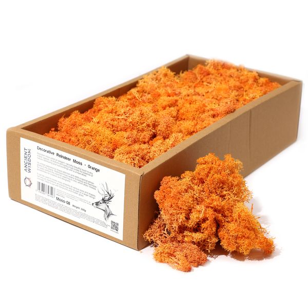 Stabilizowany Mech Chrobotek Dekoracyjny 500 g - Pomarańczowy