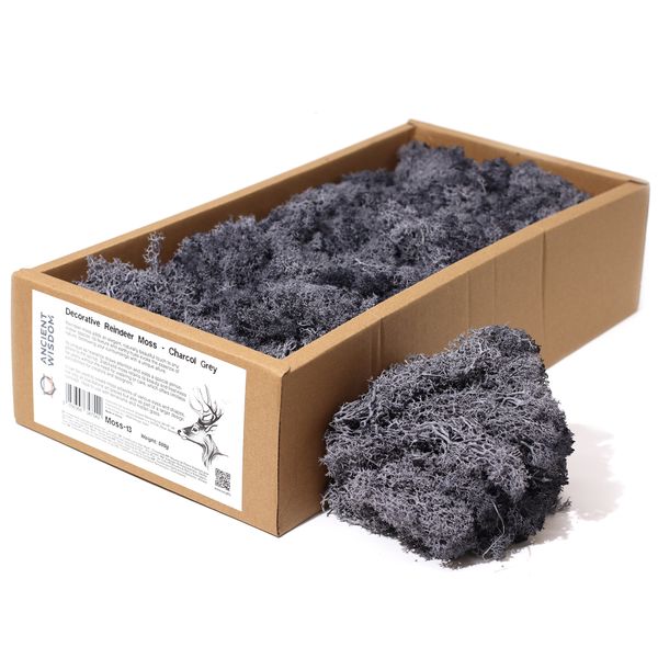 Stabilizowany Mech Chrobotek Dekoracyjny 500 g - Ciemnoszary