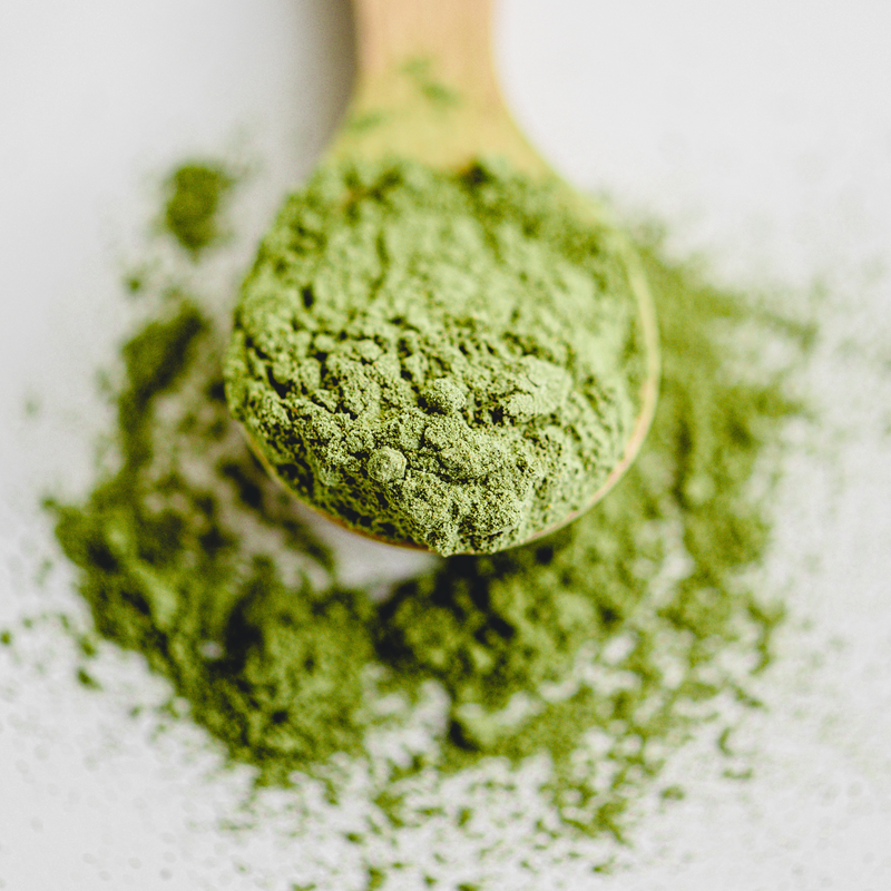 Organiczna Kulinarna Herbata Matcha 1 kg