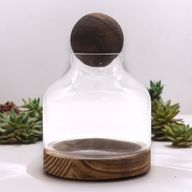 Średnie Terrarium z Kulą na Ciemnym Drewnie Tungowym - 17x22 cm
