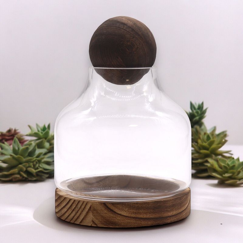 Średnie Terrarium z Kulą na Ciemnym Drewnie Tungowym - 17x22 cm