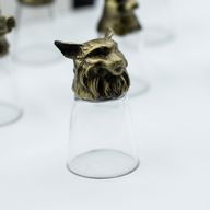 Zestaw 12 Kieliszków Bottom Up (25ml) - Leśne i Mistyczne Stworzenia