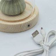 Świetlisty Ogród pod Kloszem - 3 Jeżowce - LED, USB