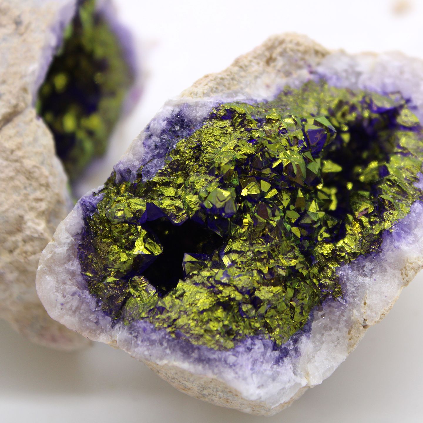 family image