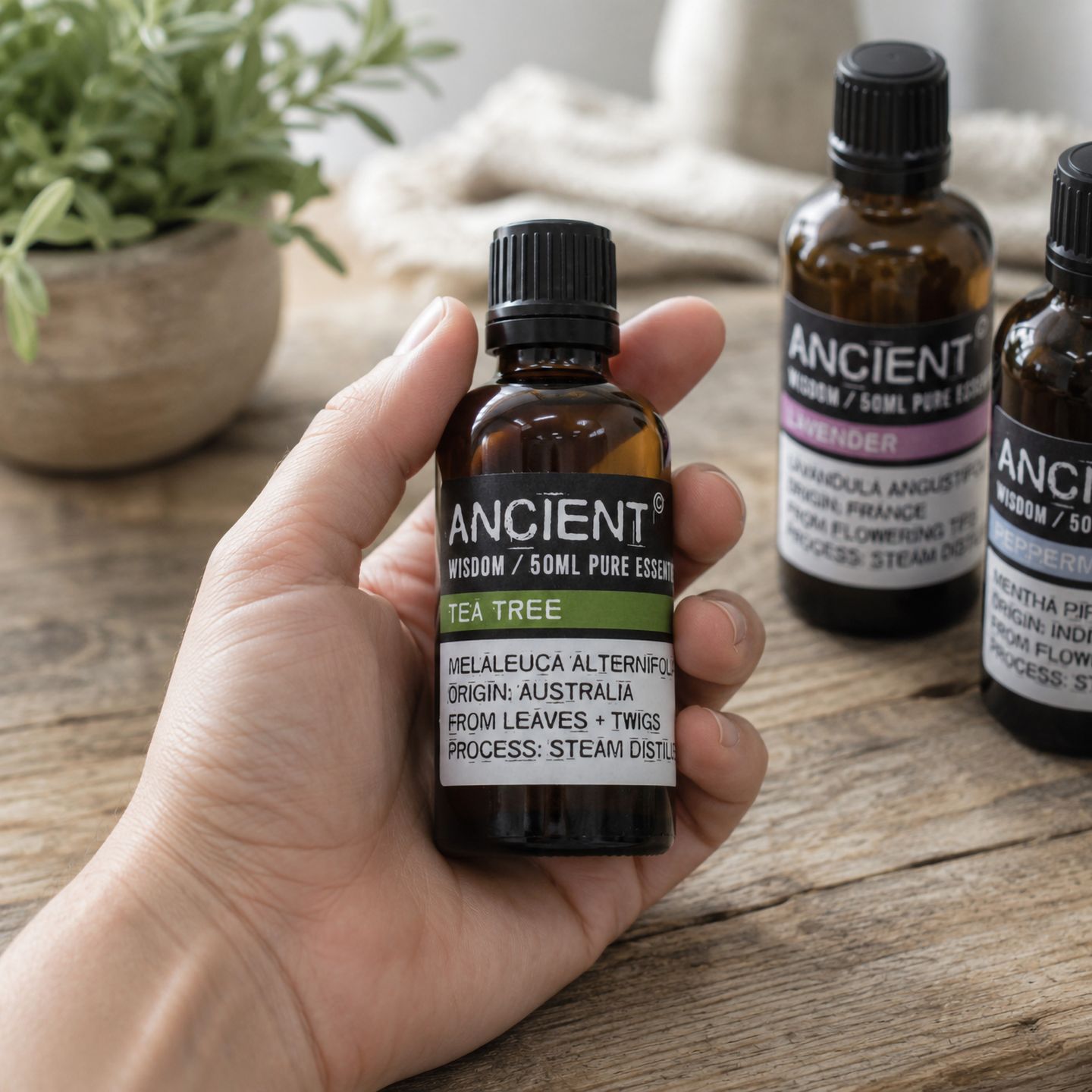 Olejki Eteryczne Organiczne 50 ml