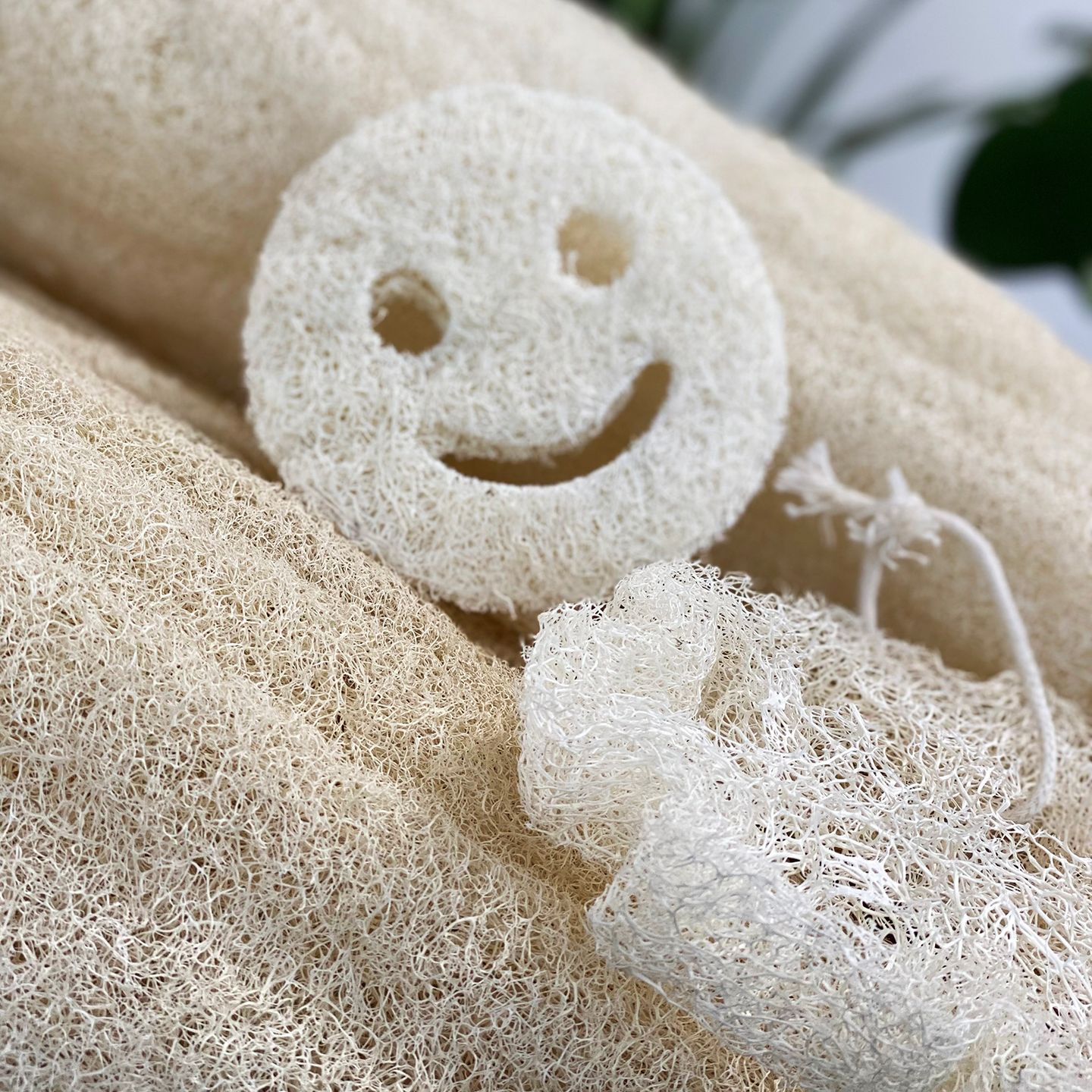 Egipskie Luksusowe Gąbki Luffa
