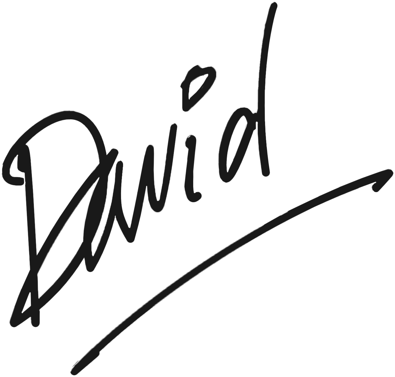 David's Signature_1 (1).png