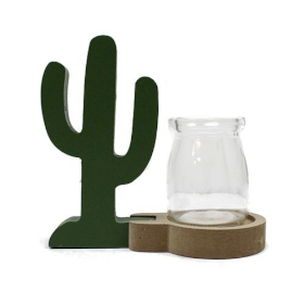 Ozdoba Hydroponiczna - Kaktus i Jedno Naczynie