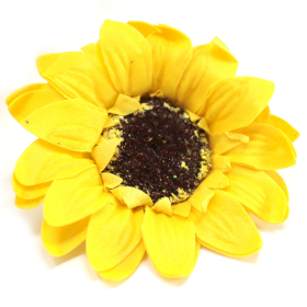 50x Duży Mydlany Kwiat Słonecznika