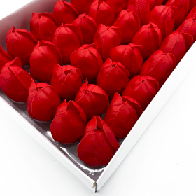 50x Tulipan Mydlany - Czerwony
