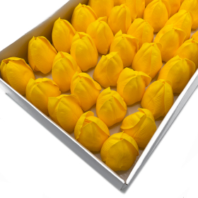 50x Tulipan Mydlany - Żółty